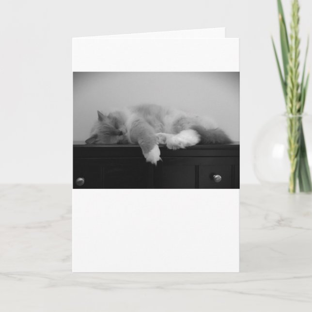 Slow Days, card (Front)