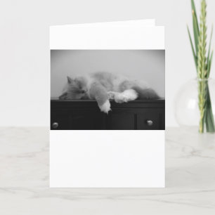 Slow Days, card