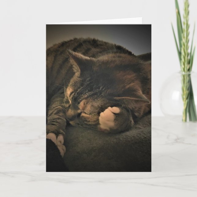 Slow Days, card (Front)