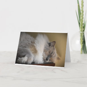 Slow Days, card