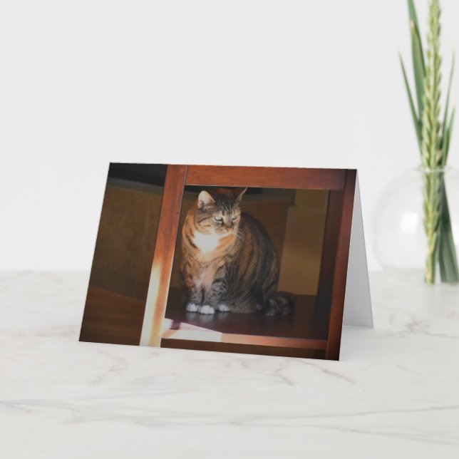 Slow Days, card (Front)