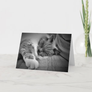 Slow Days, card
