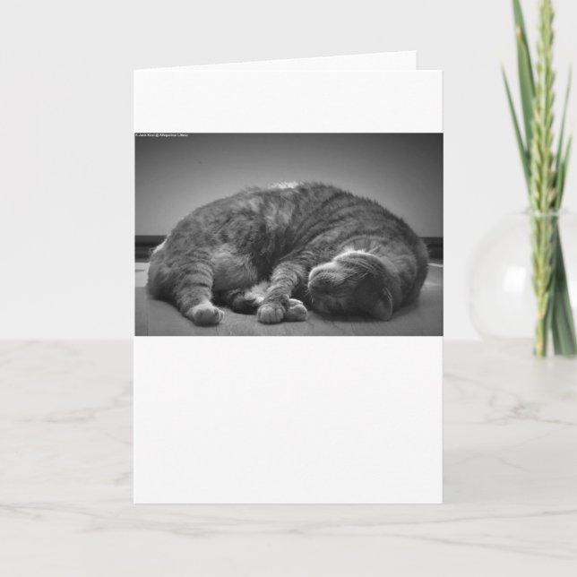 Slow Days, card (Front)