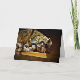Slow Days, card