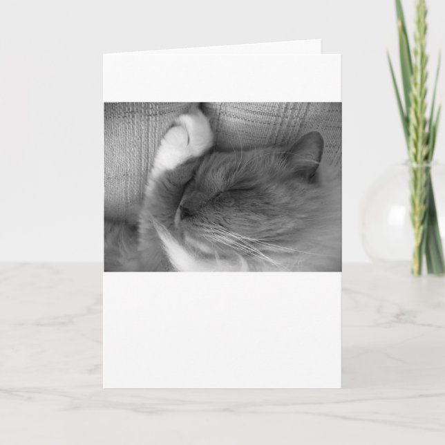 Slow Days, card (Front)