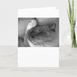 Slow Days, card