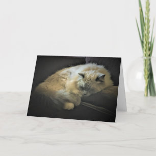 Slow Days, card