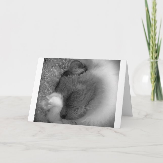 Slow Days, card (Front)