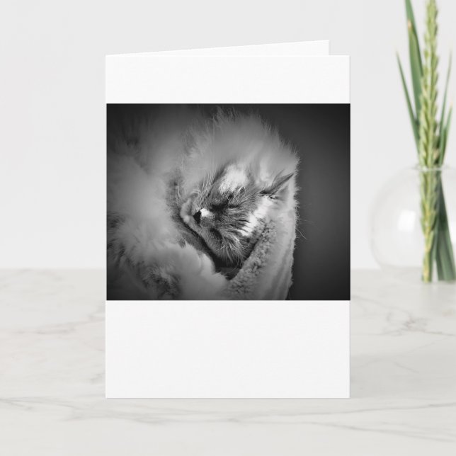 Slow Days, card (Front)