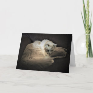 Slow Days, card