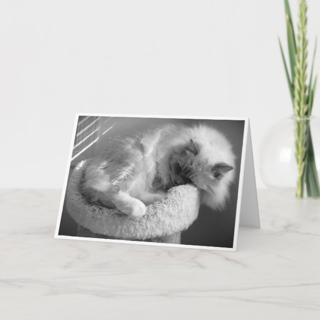 Slow Days, card (Front)