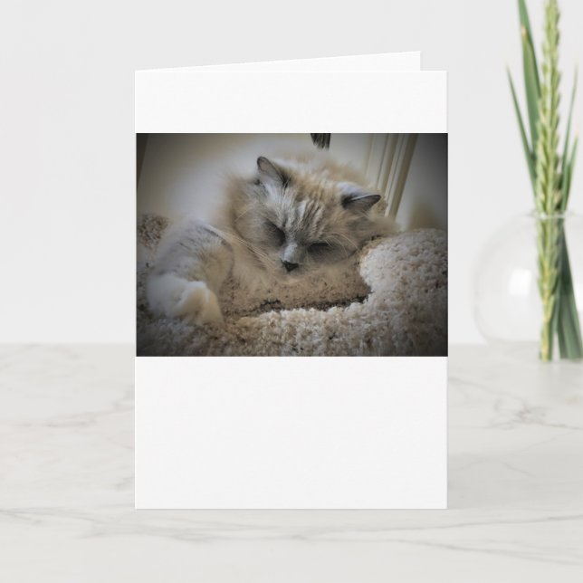 Slow Days, card (Front)