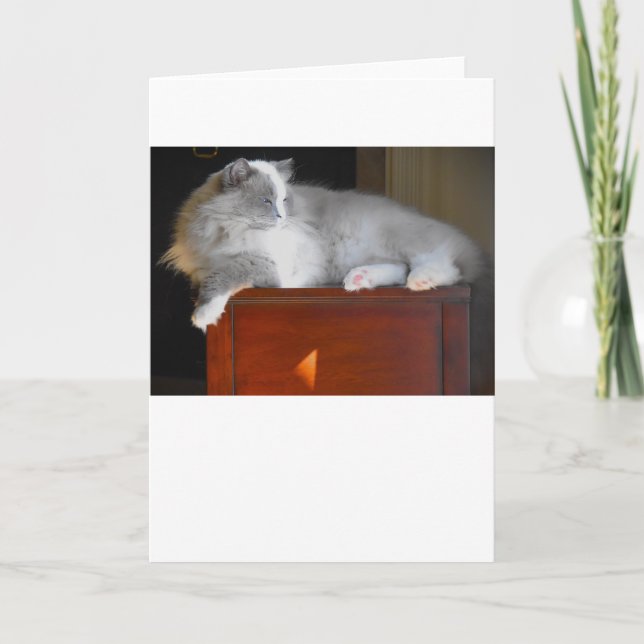 Slow Days, card (Front)