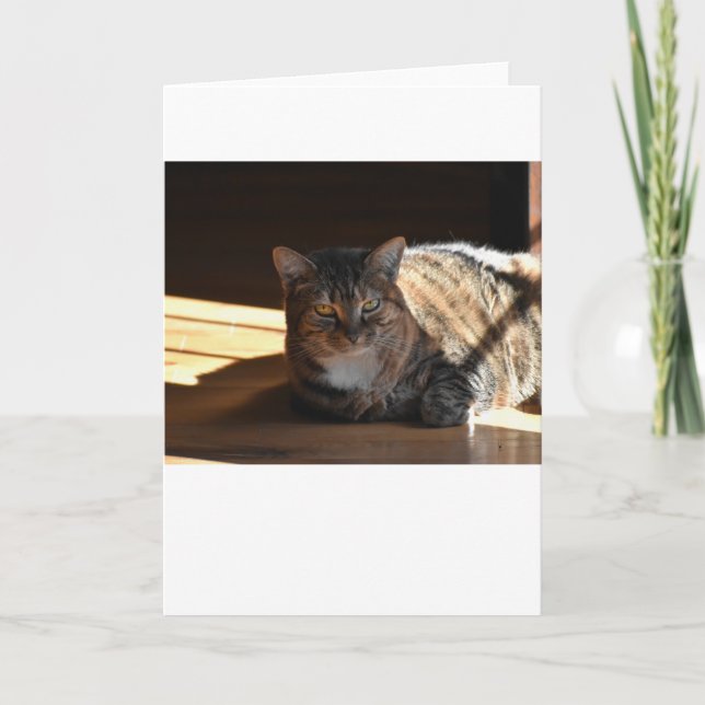 Slow Days, card (Front)