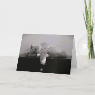 Slow Days, card