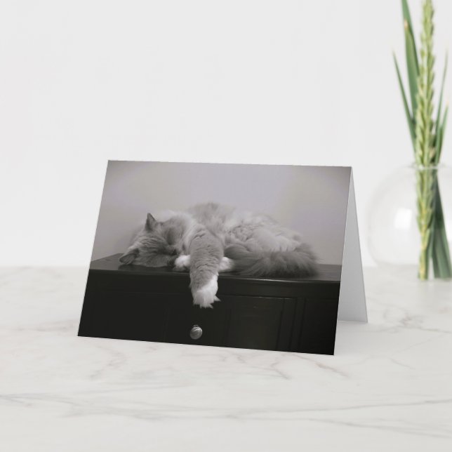 Slow Days, card (Front)