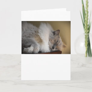 Slow Days, card
