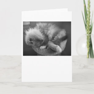 Slow Days, card