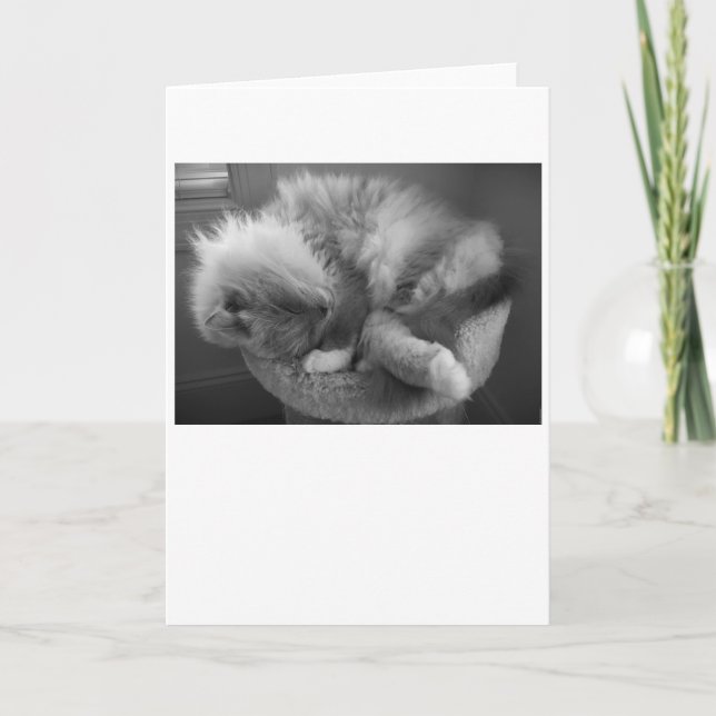 Slow Days, card (Front)
