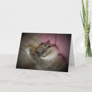 Slow Days, card