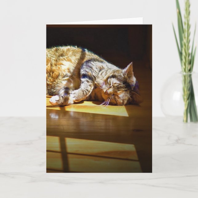 Slow Days, card (Front)