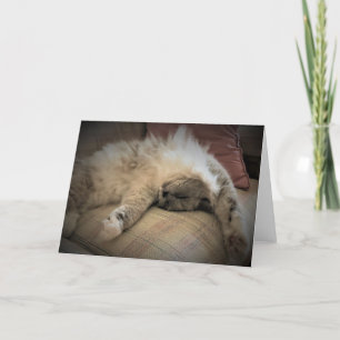 Slow Days, card
