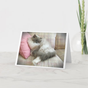 Slow Days, card