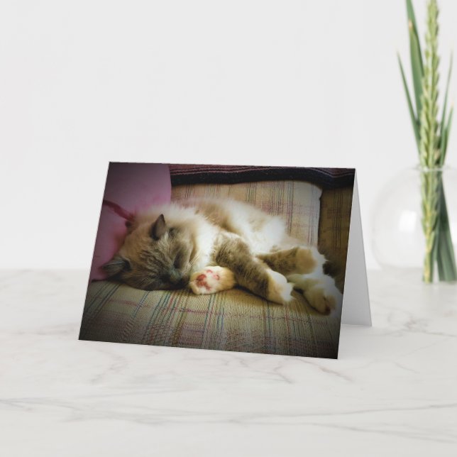 Slow Days, card (Front)