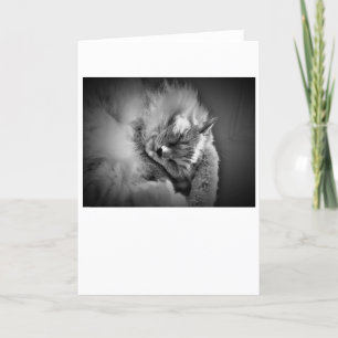 Slow Days, card