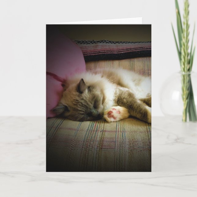 Slow Days, card (Front)
