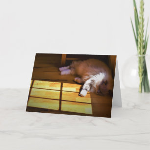 Slow Days, card