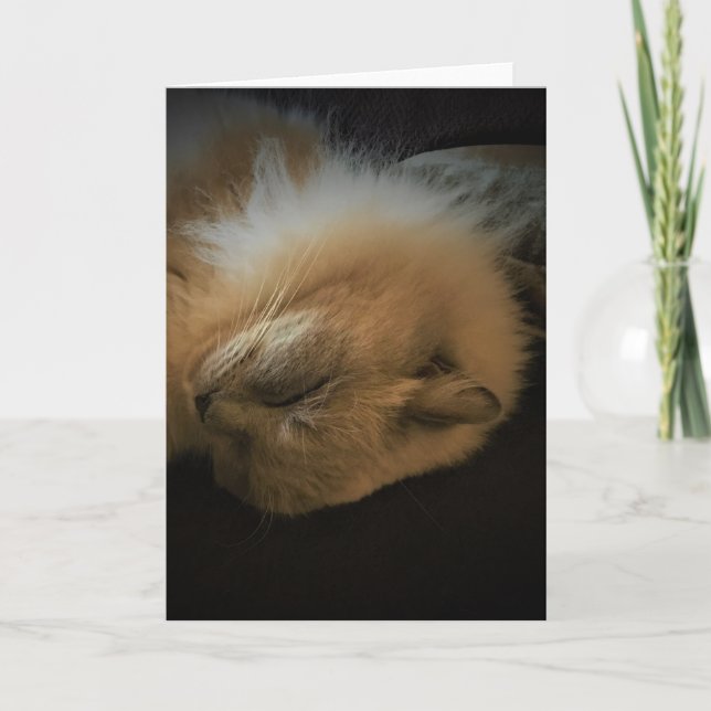 Slow Days, card (Front)