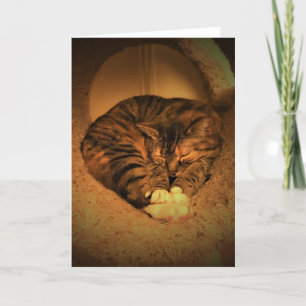 Slow Days, card