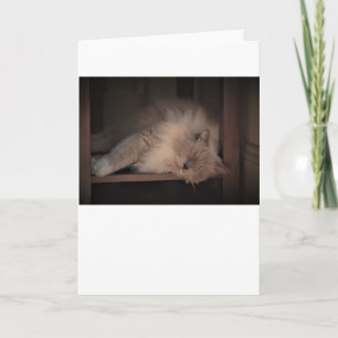 Slow Days, card