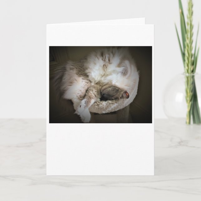 Slow Days, card (Front)