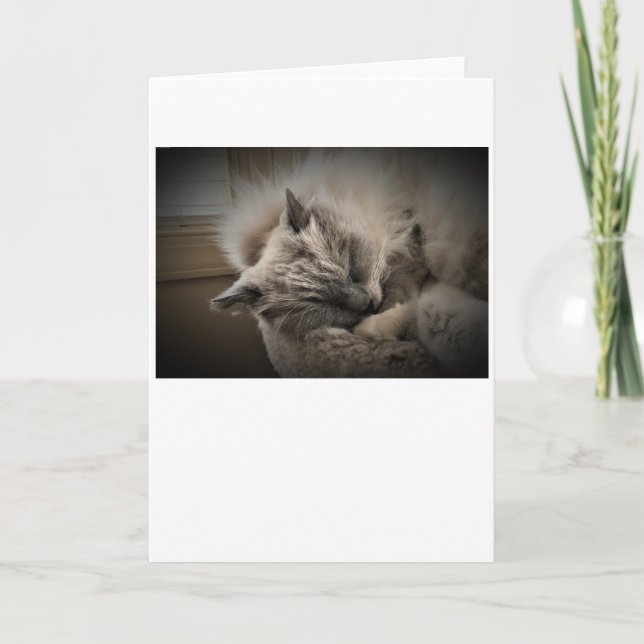 Slow Days, card (Front)