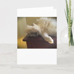 Slow Days, card