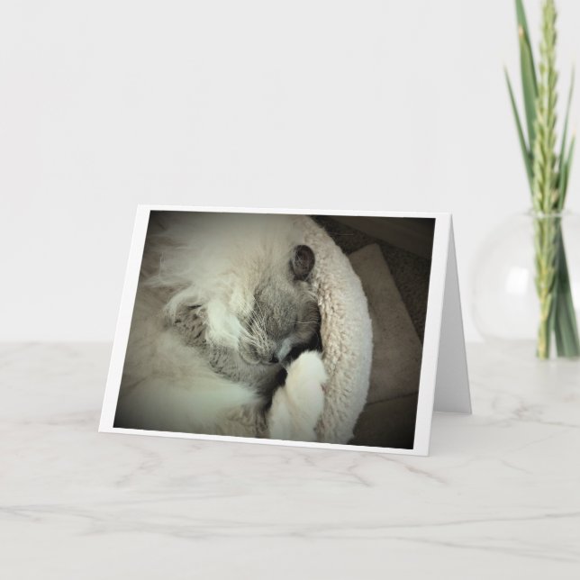 Slow Days, card (Front)