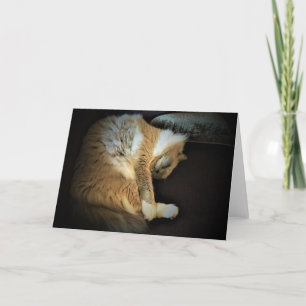 Slow Days, card