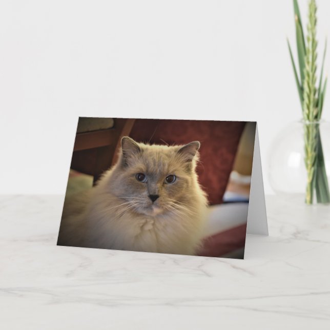 Slow Days, card (Front)