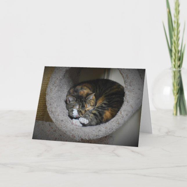 Slow Days, card (Front)