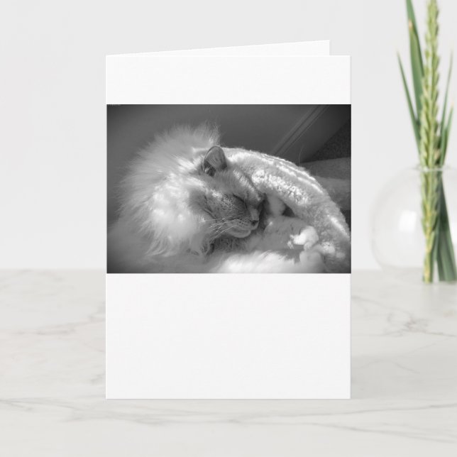 Slow Days, card (Front)