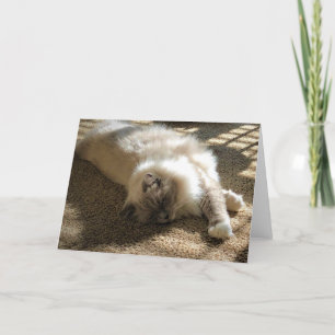 Slow Days, card