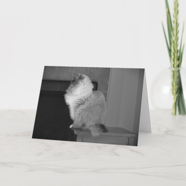 Slow Days, card (Front)