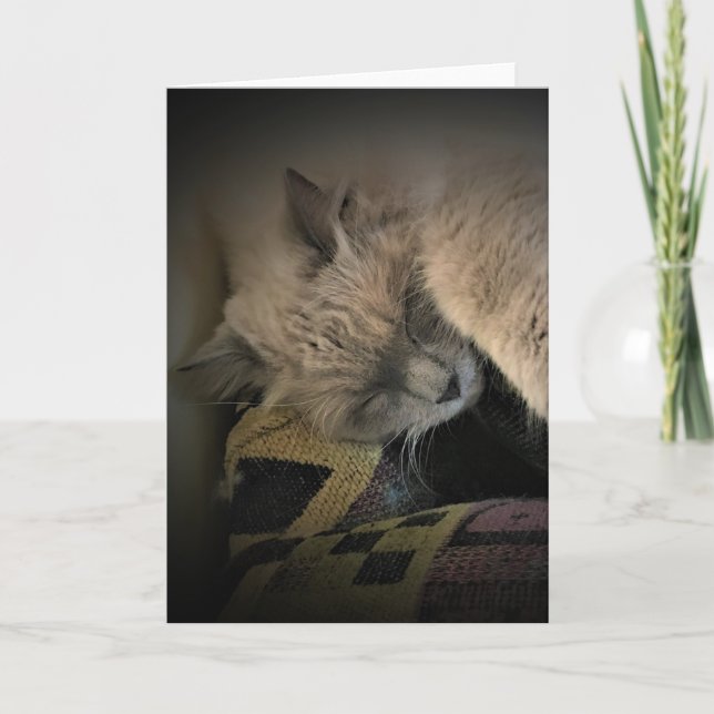 Slow Days, card (Front)