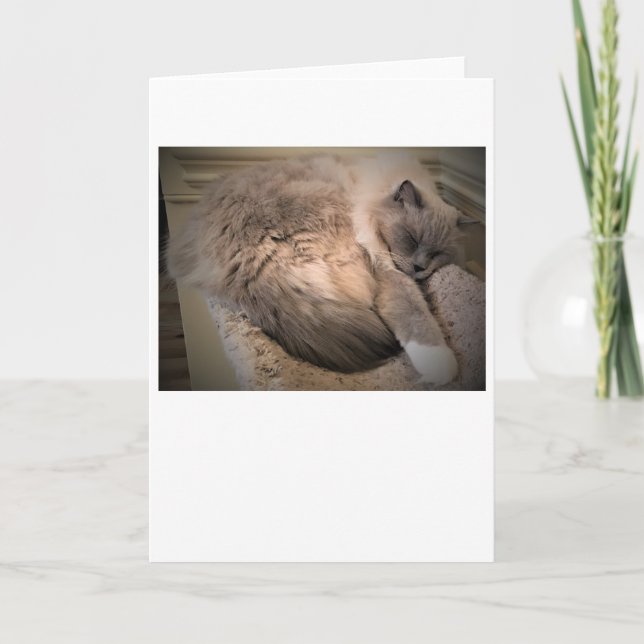 Slow Days, card (Front)