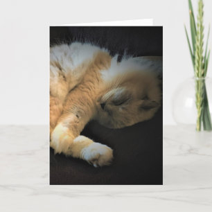 Slow Days, card