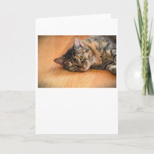 Slow Days, card
