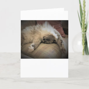 Slow Days, card