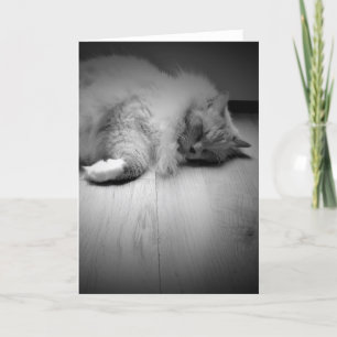 Slow Days, card